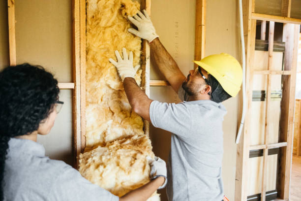 Types of Insulation We Offer in Kapaa, HI